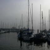 Am Yachthafen