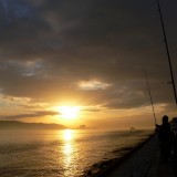 Angler am Tejo