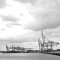 Im Hafen von Rotterdam