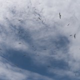 Viel Verkehr am Himmel