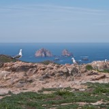 Felsen im Meer