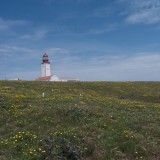Der Leuchtturm